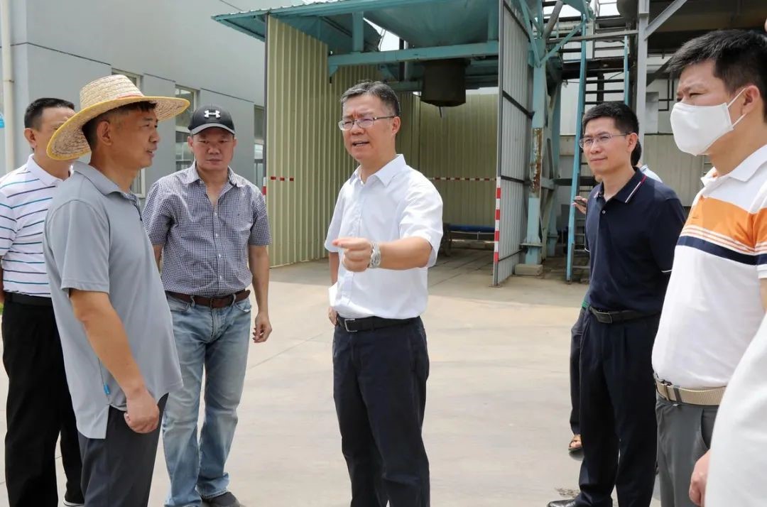 綠潤(rùn)新聞 | 金灣區(qū)委書記帶隊(duì)考察，三灶項(xiàng)目再獲認(rèn)可